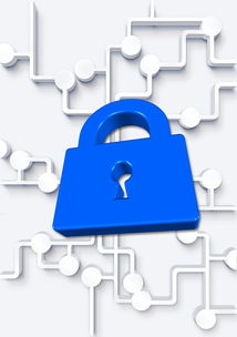 柑橘產業存在問題的深層成因與可持續發展路徑探析