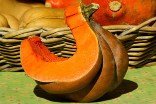 柑果球有哪些?全面解析柑果球種類與用途