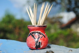 柑橘小盆栽可以嫁接嗎？詳解嫁接技巧與品種選擇指南