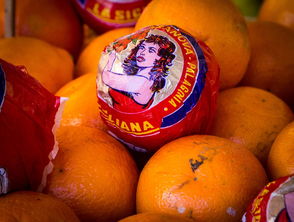 廣東水果特級柑橘：嶺南珍品，香甜多汁的自然饋贈