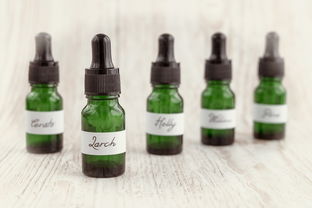 柑橘黃化用什么藥最好？科學(xué)用藥指南與綜合防治方案解析