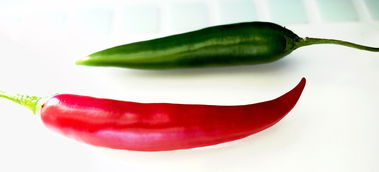 無公害柑橘病蟲害綠色綜合防控技術(shù)與生態(tài)種植實踐指南