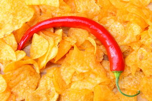 川津五號沃柑：果香濃郁、甜蜜爆汁的優質新品種推薦