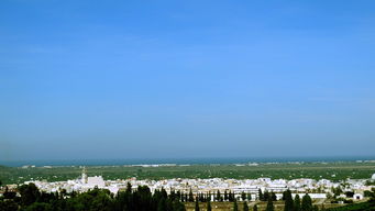 2023年明日見柑橘行情最新市場動態與未來趨勢預測