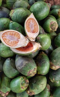 柑橘6月怎么落果呢？解析關鍵原因及應對策略