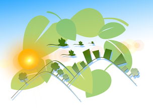 探秘柑橘特點及生長環境：從品種特性到適宜氣候的全面解析