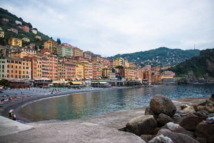 柑橘價格今日報價查詢:全國市場最新動態與實時更新一覽