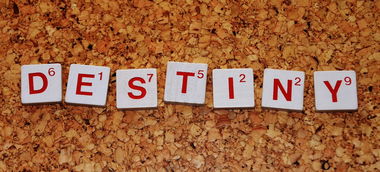 柑橘專用農藥大全：科學防治技術與病蟲害管理實用指南