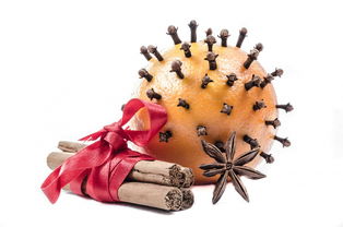 柑橘病蟲害發生規律一覽表：區域分布與季節動態詳解