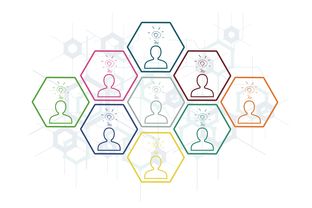 柑橘黃龍黃化免疫劑創(chuàng)新技術(shù)：綠色防控與病害免疫協(xié)同增效機制解析