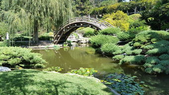 探秘嶺南特色產(chǎn)業(yè)——新會柑種植基地的生態(tài)化發(fā)展之路