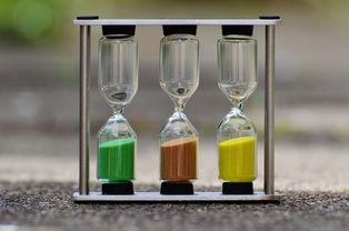 柑橘打完黃化營養液多久可以修剪？最佳修剪時間與操作要點解析