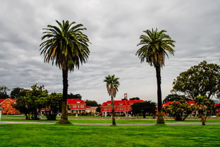 川津1號柑桔適合什么地方種？氣候條件與適宜栽培區(qū)域解析