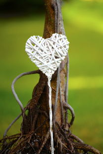 明日見柑橘裂果論壇：專家齊聚共商裂果防治技術與產業升級策略