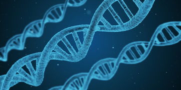 柑橘全年防治方案:高效病蟲害防控與科學管理技術指南