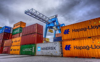 柑橘價格分析:2023年市場供需走勢與區域波動深度解讀