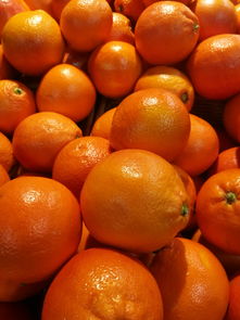 最新收錄：新品種無核柑橘品種大全｜種植指南與優(yōu)質(zhì)果品推薦