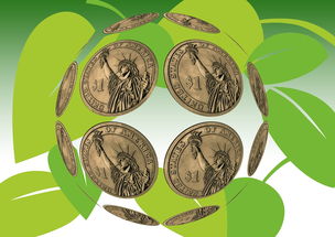 柑橘屬綠通嗎？深度解析農(nóng)產(chǎn)品綠色通道政策要求與柑橘屬分類