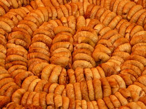 柑橘幼苗移栽技術要點與科學管理實操指南