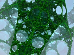 高效柑橘葉面施肥方法及其在不同生長期的應用技術解析