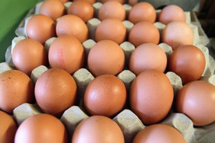 新會柑分有幾個區域呢?詳解核心產區劃分及地域分布特點