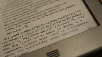 柑橘區別英語全解析:如何準確表達不同柑橘品種的英文名稱