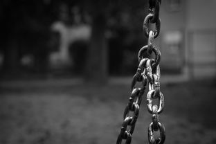 柑橘烏云英文怎么說？解密Citrus Dark Cloud的趣味科普與快速掌握技巧