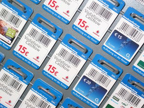 大雅柑橘目前價格:2023年行情走勢及市場供需分析