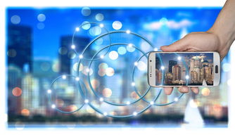 柑橘病蟲害防治:高效防控技術與全年管理要點解析