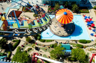 柑橘新品種在什么地方有?全國主產區分布與選育基地解析