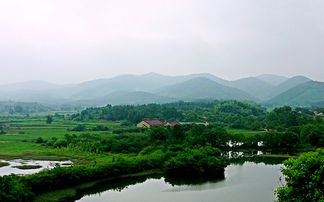 浙江省舟山市哪幾個(gè)主要柑橘產(chǎn)地——探秘舟山特色柑橘產(chǎn)業(yè)分布與發(fā)展現(xiàn)狀解析