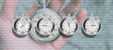 柑橘的主要特征是什么?解析其形態結構、分類特點與主要用途