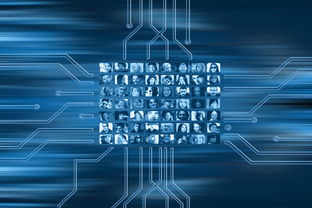 今年柑橘總產量增還減?權威數據解析與未來走勢預測