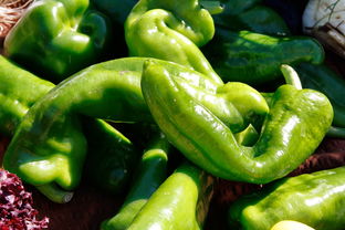 新品早熟柑橘苗上市：早熟高產(chǎn)抗病柑橘種苗種植首選