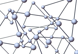 柑桔樹苗修剪技術要點與高效管理方法解析