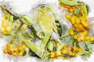 柑橘幾個糖度算甜？揭秘果實糖度標準與科學口感評價