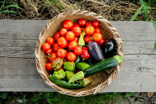 最新明日見(jiàn)柑橘團(tuán)購(gòu)信息火熱來(lái)襲！限時(shí)特惠新鮮直達(dá)社區(qū)拼團(tuán)