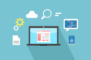 柑樹施肥管理方案:全年高效施肥技術要點與科學管理解析