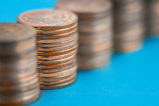 種40畝柑橘一年能賺多少錢？揭秘種植成本與利潤收益詳細分析