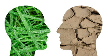 柑橘主要產自熱帶還亞熱帶：全球產區分布與氣候適應性解析