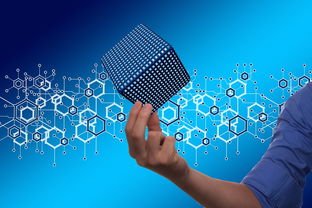 多維賦能視域下柑橘產業發展思路創新與可持續路徑探析