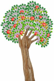 柑橘樹現在用什么藥合適？2023年當前季節科學用藥與病蟲害防治指南