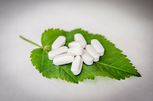 最抗凍柑橘品種什么？中國北方耐寒柑橘推薦榜單解析