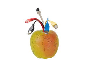新品種柑橘苗木種植技術要求（柑橘種植技術規程）