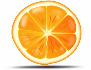 湖南柑橘生產(chǎn)基地在哪里（湖南柑橘什么時(shí)候成熟）