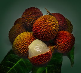 柑橘種植及管理技術論文題目（柑橘種植技術的參考文獻）