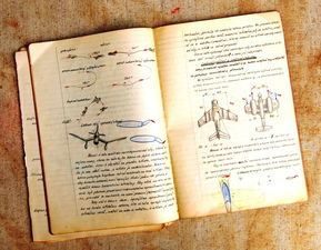 山西柑橘大棚種植技術規程新文件(山西柑橘大棚種植技術規程新文件最新)