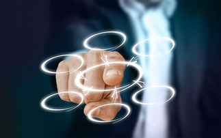 防治柑橘大實蠅掛灌技術(shù)視頻(柑橘大實蠅的受精方式)