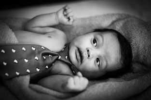 柑橘炭疽病癥狀什么（柑橘炭疽病是什么原因引起的）