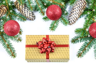 柑橘秋天能移栽嗎（柑橘樹秋天可以剪枝嗎）